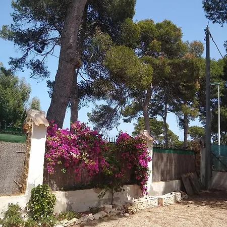 Tres Olivos